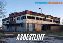 asbestlint: Historical Uses and Modern Regulations in Construction