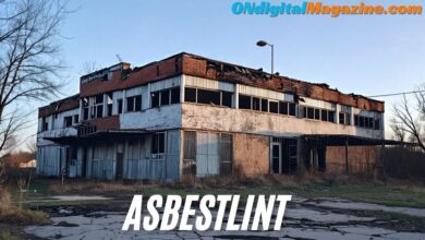 asbestlint: Historical Uses and Modern Regulations in Construction