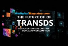 The Future of transds: Digital Content Creation and Consumption