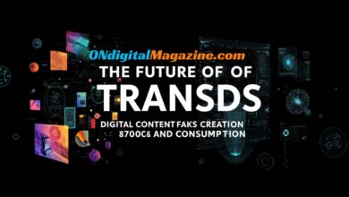 The Future of transds: Digital Content Creation and Consumption